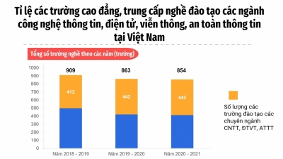 INFOGRAPHIC: Đào tạo nguồn nhân lực số tại Việt Nam